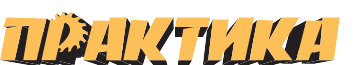 Логотип Практика